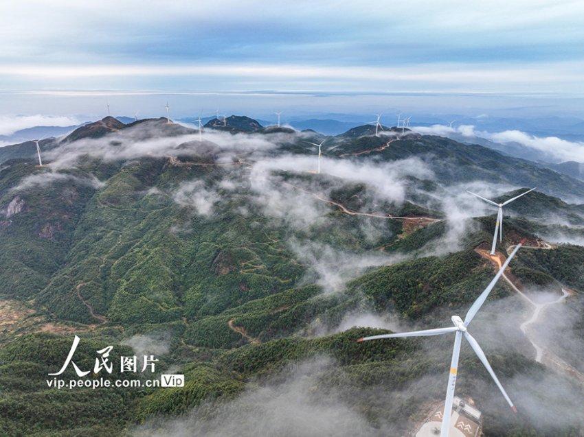 冬笋的“别致”吃法,开胃又下饭,螺蛳粉里必不可少